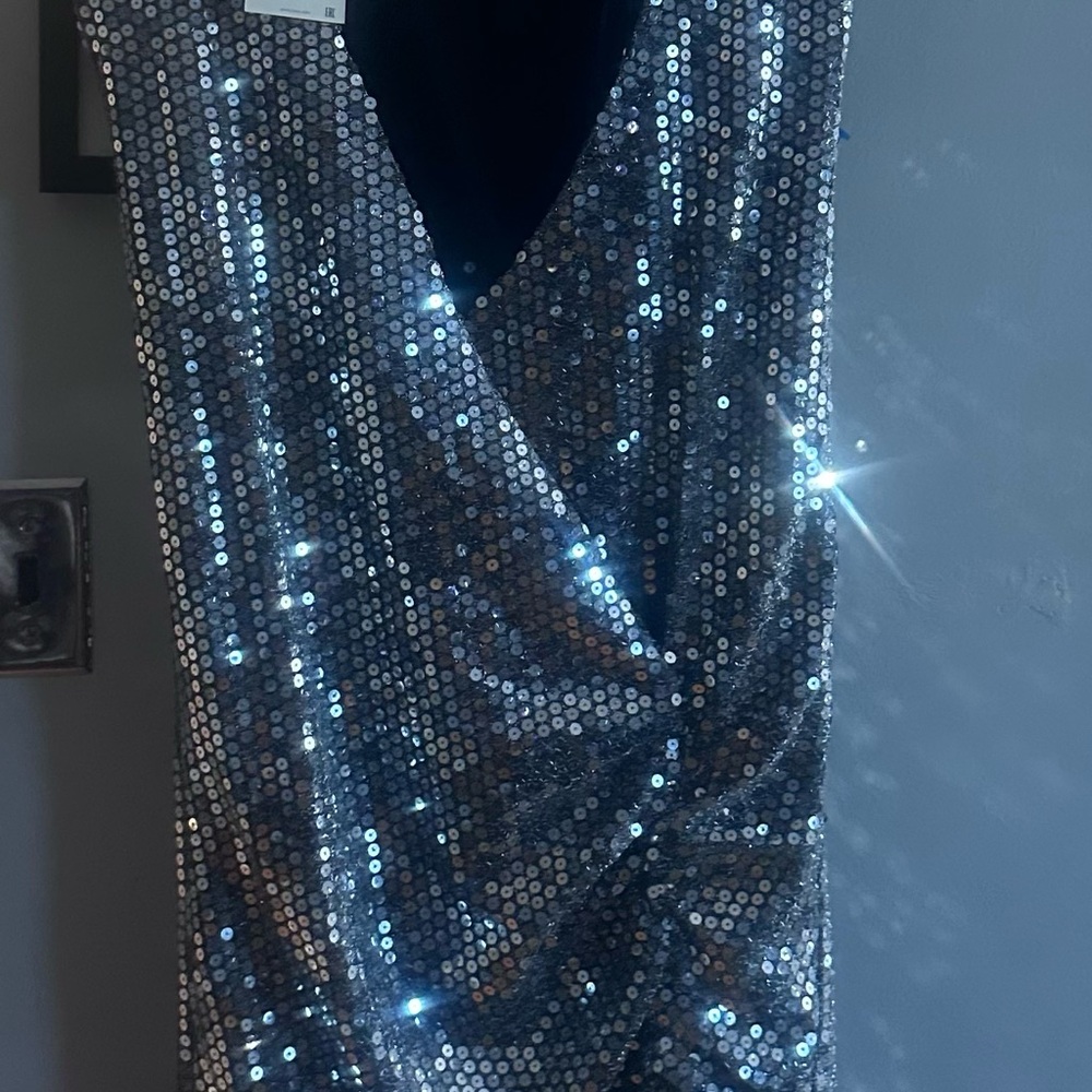 Zara Shimmering Silver Sequin Top